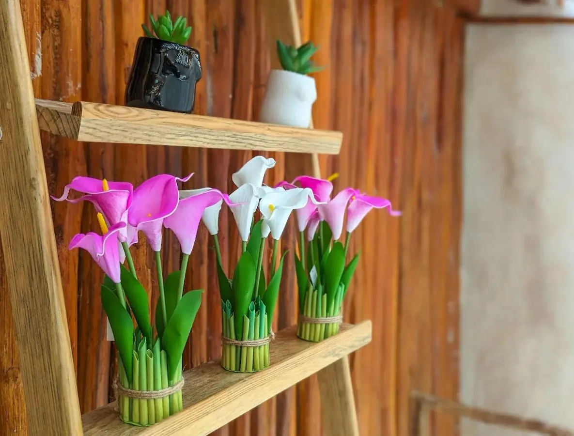 Xhule Hotel Boutique Tulum